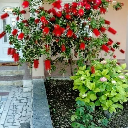 Ivanovski