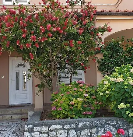 Appartement Ivanovski