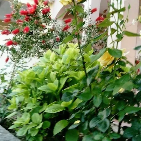 Ivanovski Appartement Rab Town